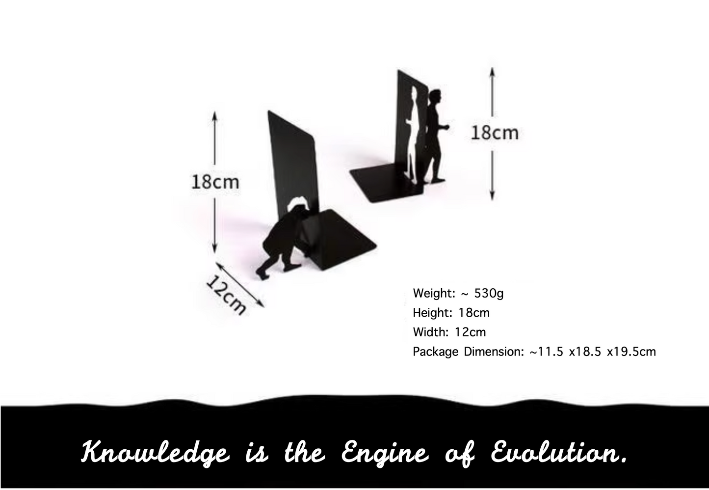 ”Evolution Theory“ Bookends - Desktop Decoration, Ideal for Bookworms
